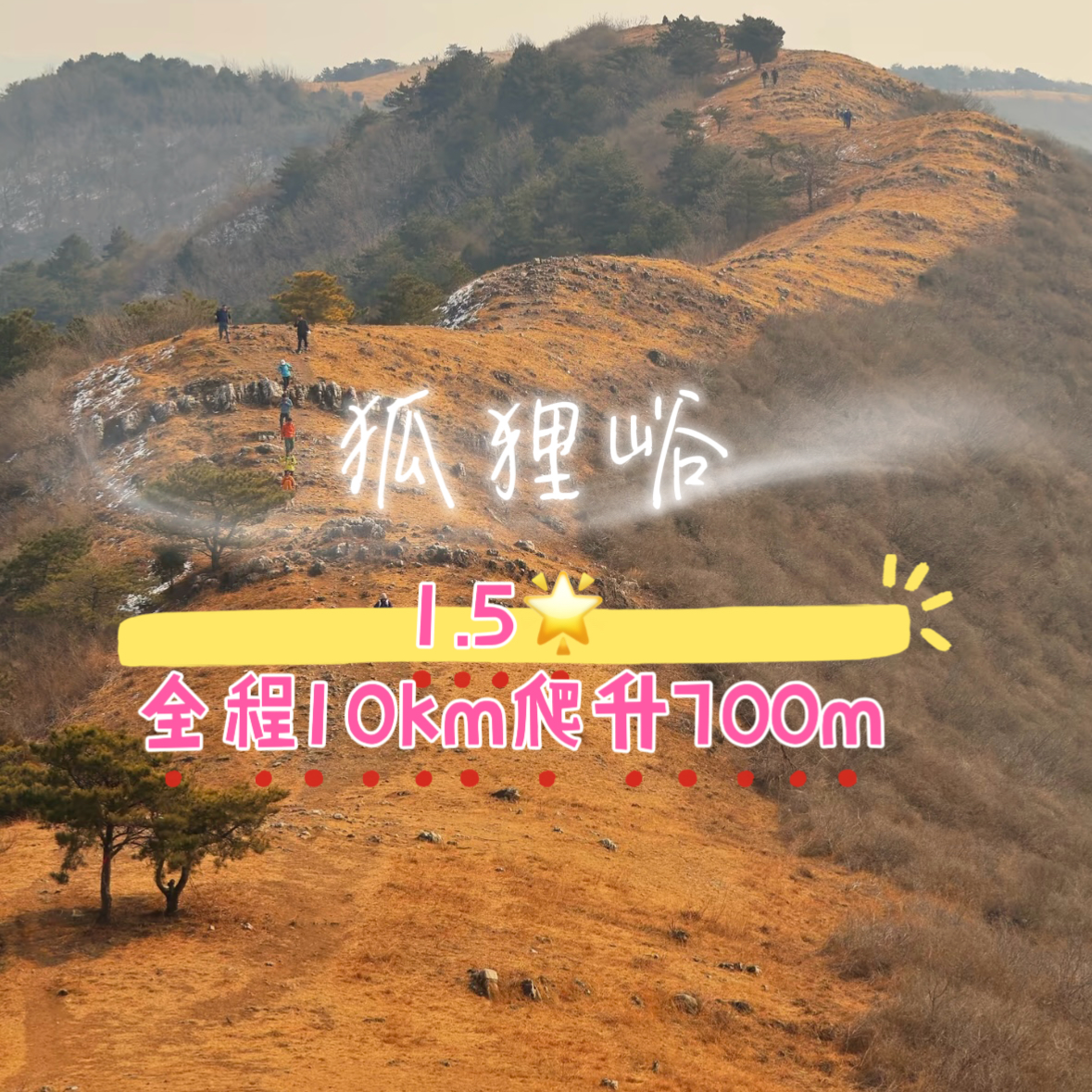 04月4日 &middot; 周六 ｜津门狐狸峪🦊