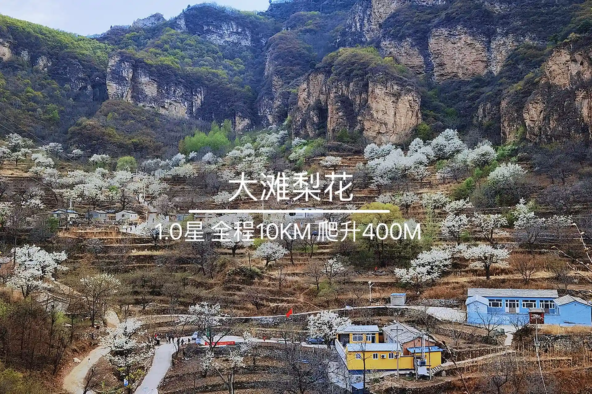 4月25日&middot;周六｜最美人间四月天-大滩梨花