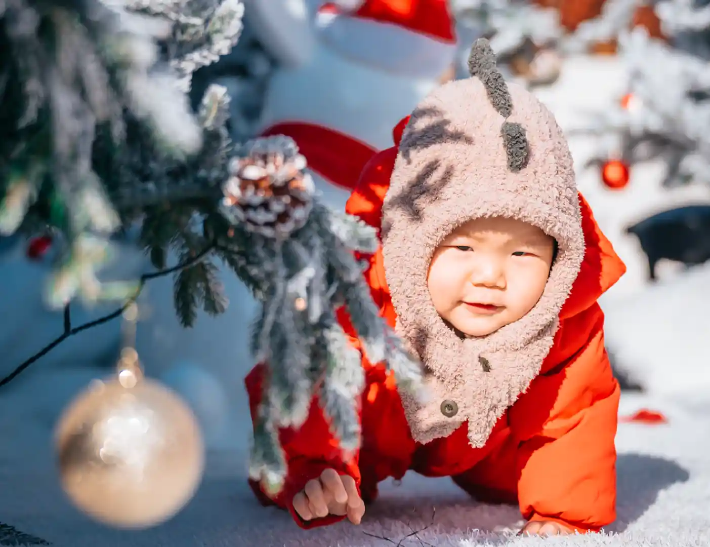 12月13日 · 周六 | 一起拍拍，提前get圣诞氛围照