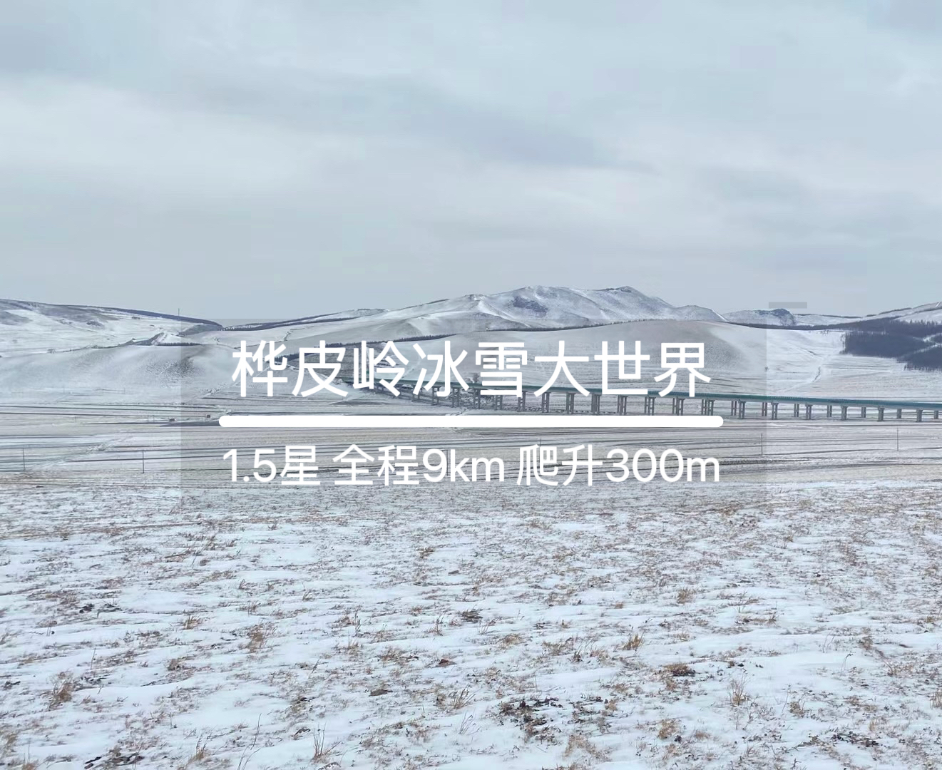 12月27日·周六｜桦皮岭踏雪迹