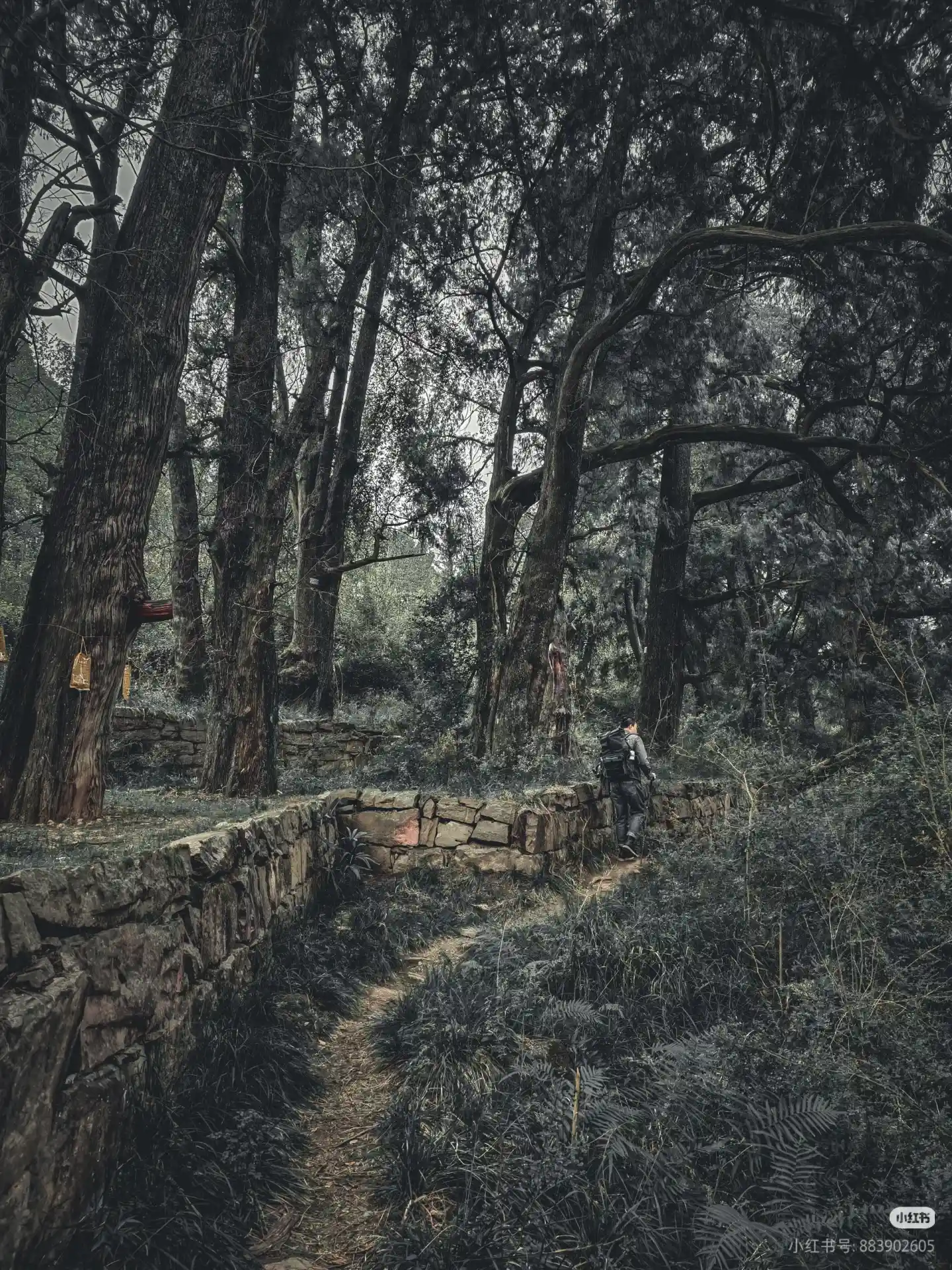 12月31下班--1月3日 |  走个古道 爬个鸟道  泡个温泉 【休闲轻奢  可亲子带娃】补齐尾款报名成功