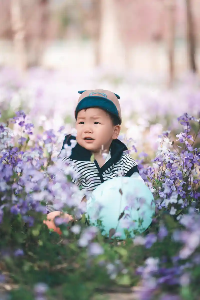 4月11日 周六 | 一起拍拍，与二月兰撞个满怀