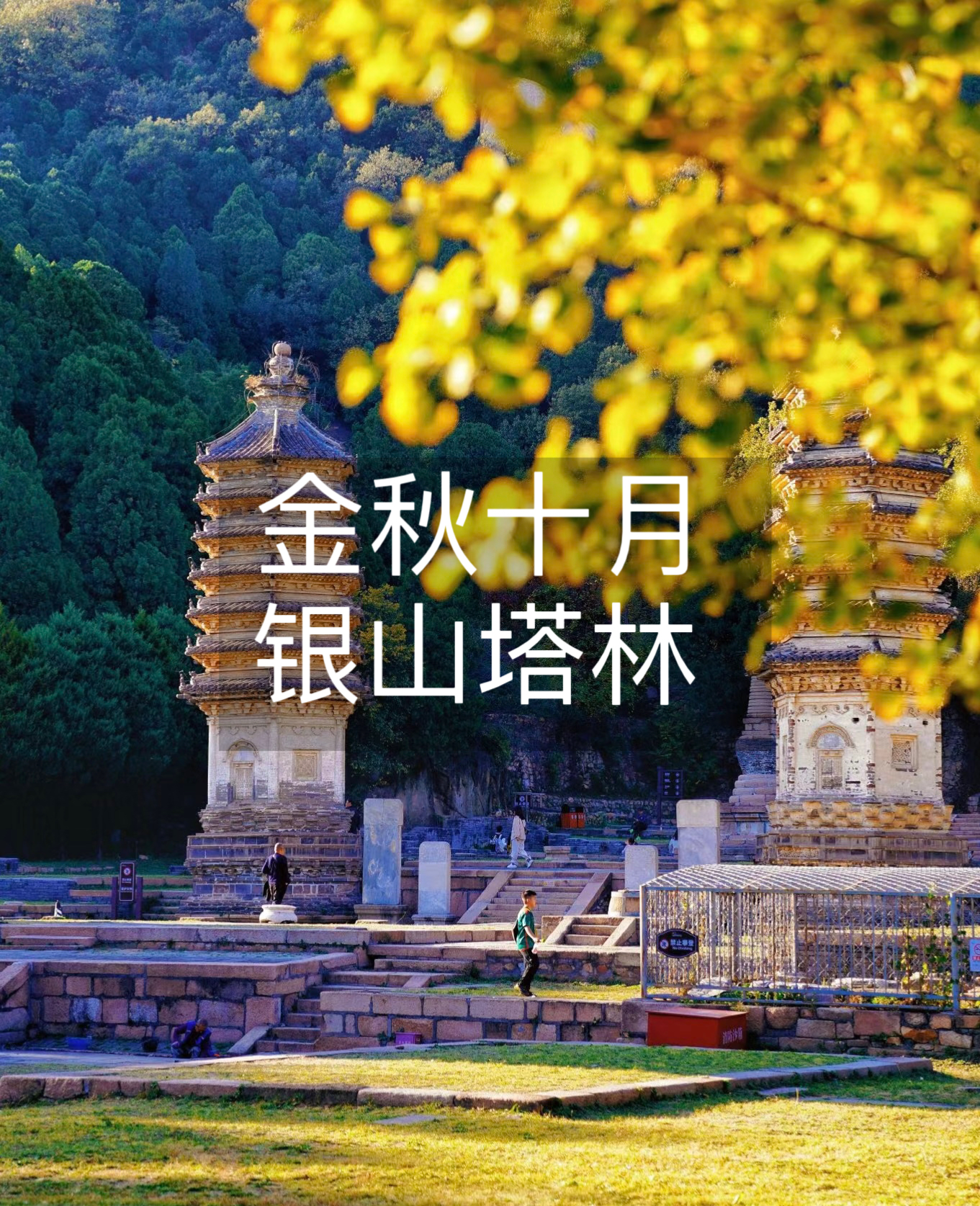 10月25日 · 周六 | 金秋十月·银山塔林